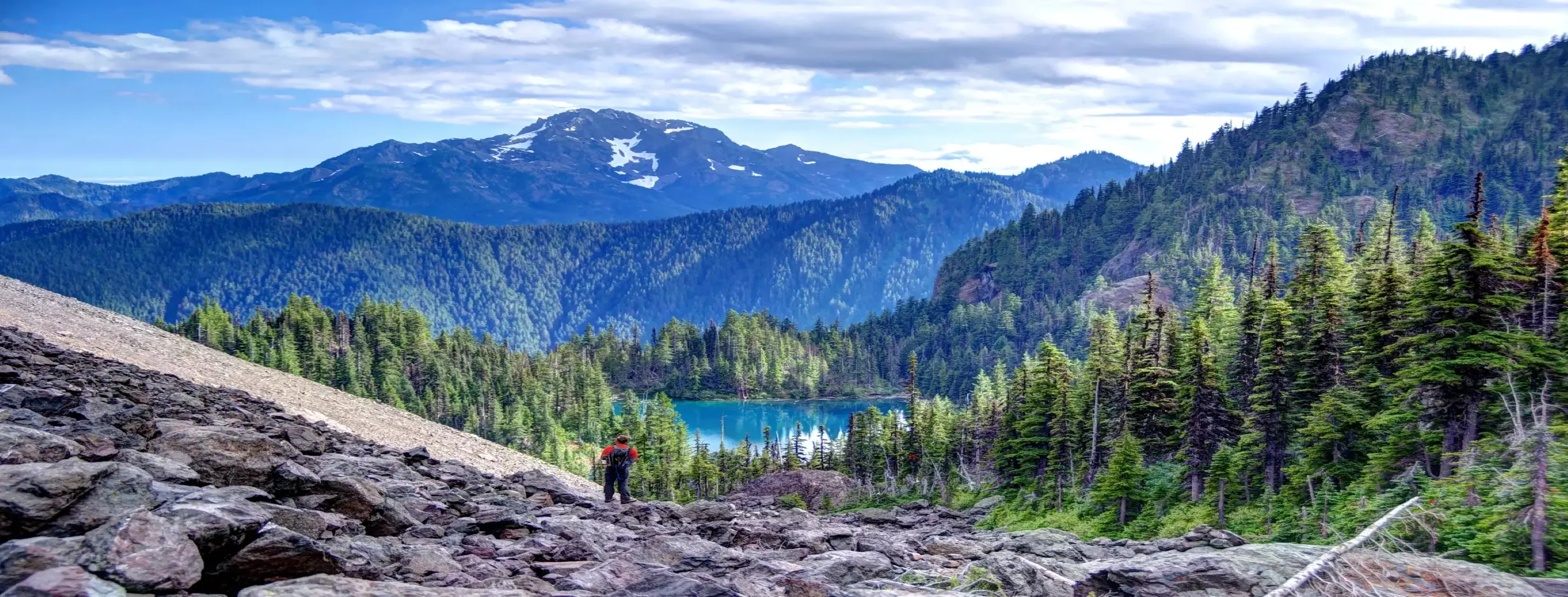 Image for Olympic National Park